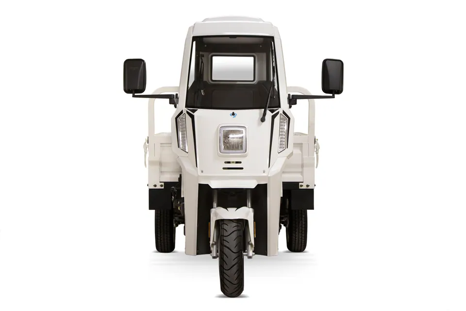 Geco Truck gXP V9 3kW 72V 45AH Batterien detail 17