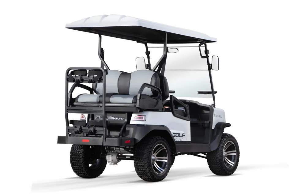 GECO Elektro Golf Cart 5kW inkl. 7,4 kW/h|48V 155Ah Batterien pilt 3