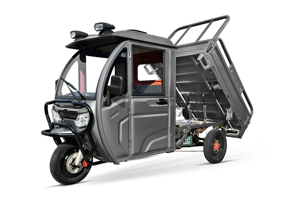 Geco Lite Truck P100 gXP Dreirad Kabinenroller Cargo TUK TUK Kipper 72V pilt 6